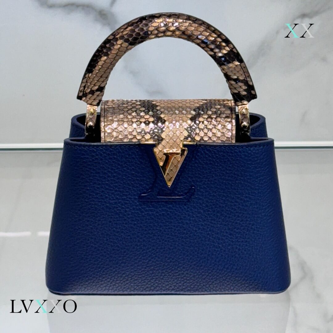 Louis Vuitton Taurillon Capucines
